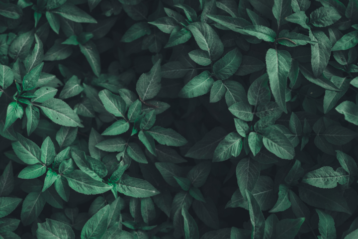 entry header bg | Lumen Kinnisvarabüroo