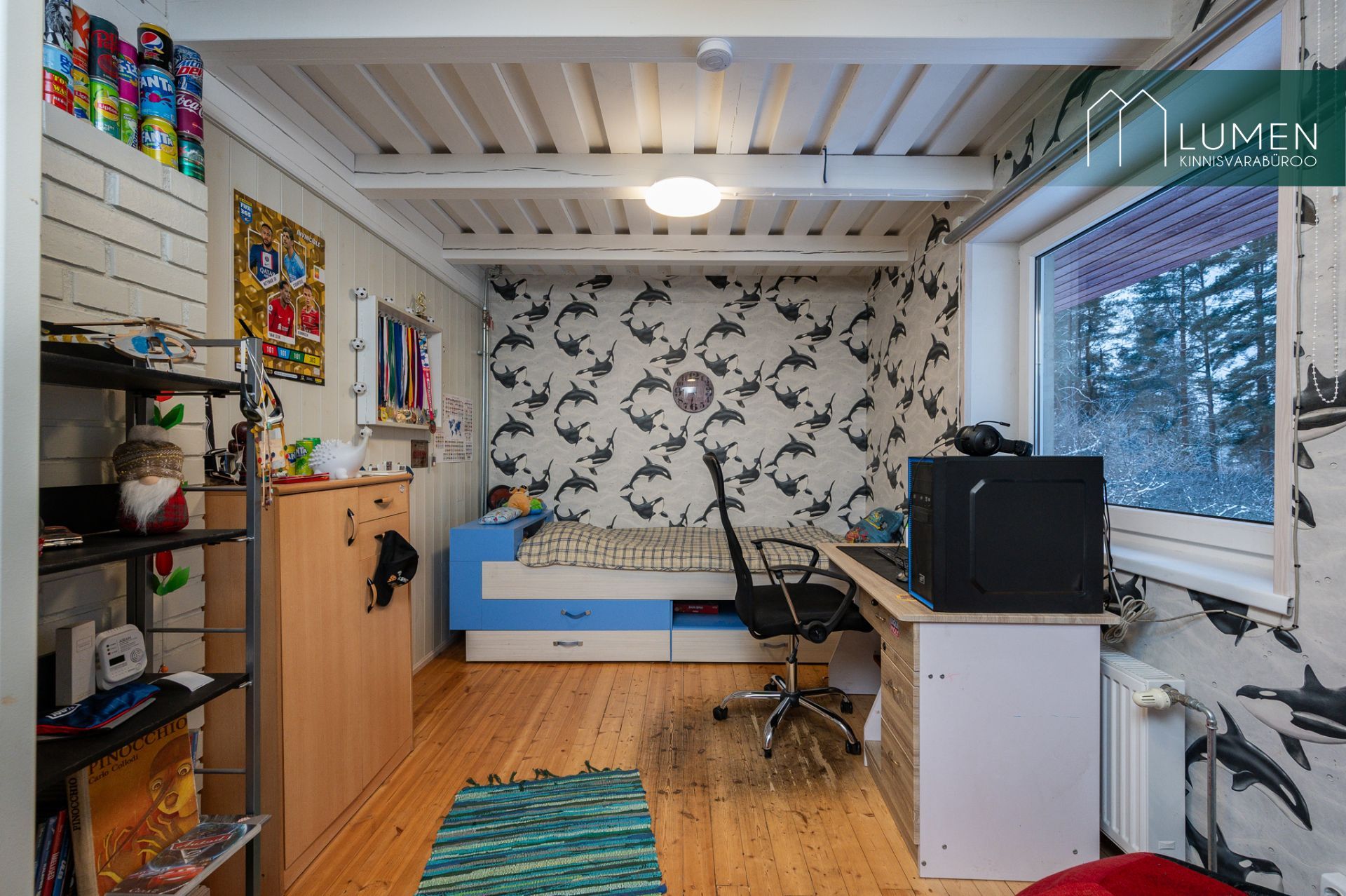 Tartu maakond, Nõo vald, Meeri küla Silva vkt 10