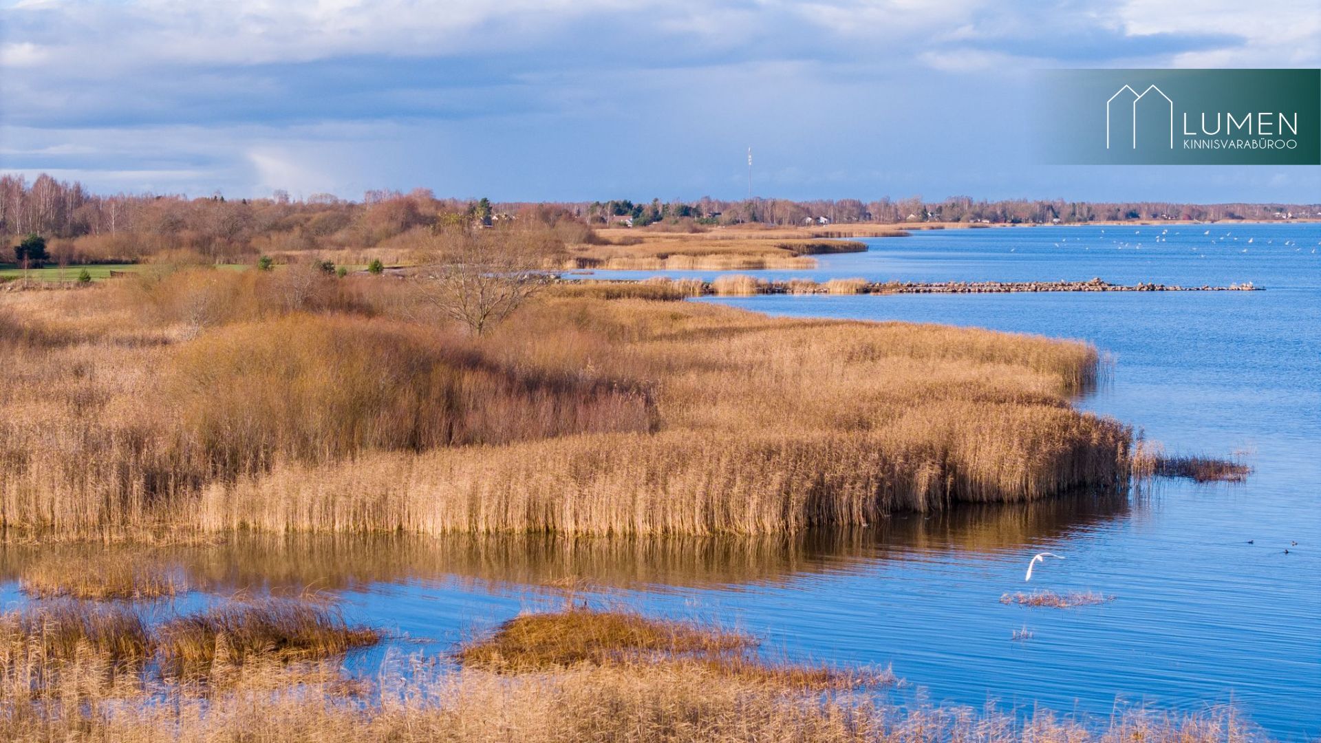 Jõgeva maakond, Mustvee vald, Omedu küla