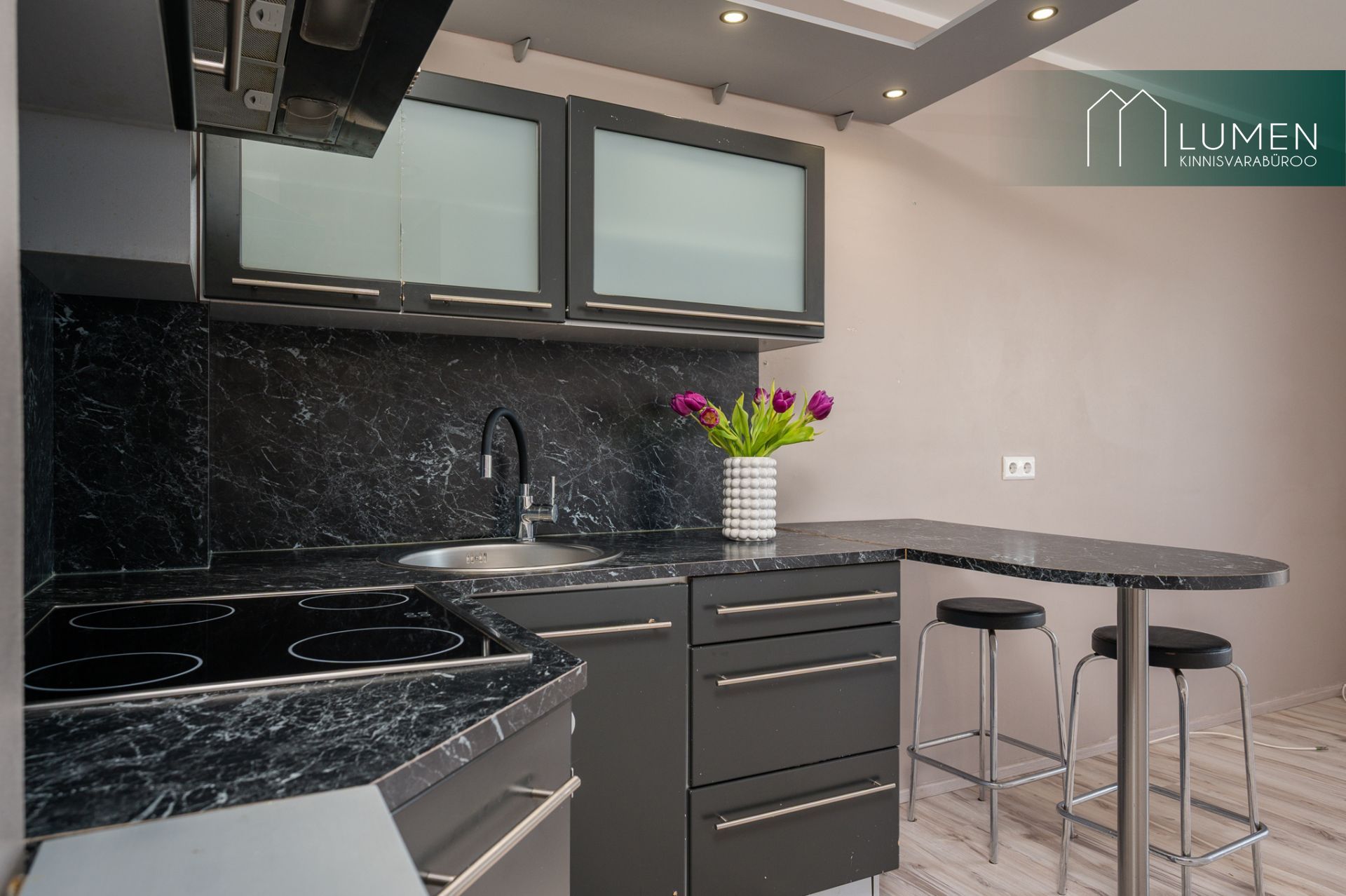 Tartu maakond, Elva vald, Elva linn Kirde 1