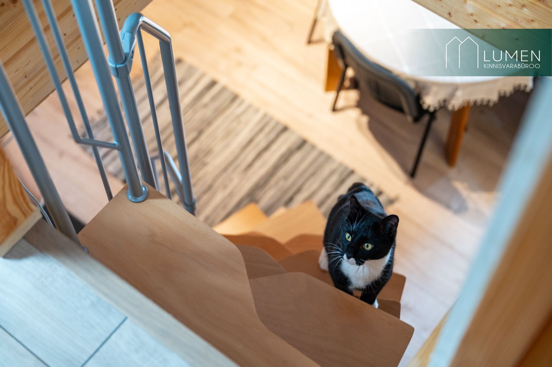 Tartu maakond, Tartu vald, Laeva küla