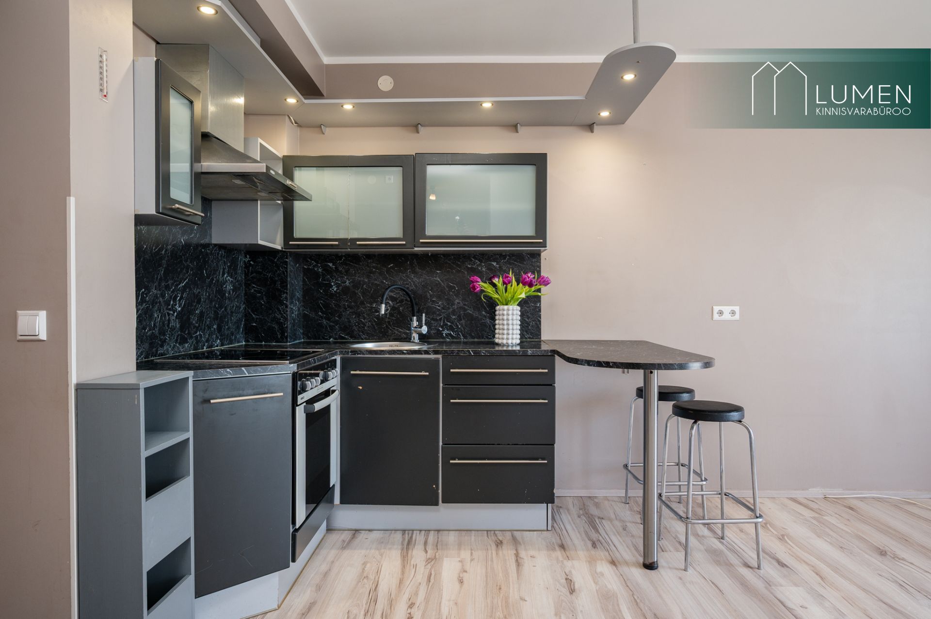 Tartu maakond, Elva vald, Elva linn Kirde 1