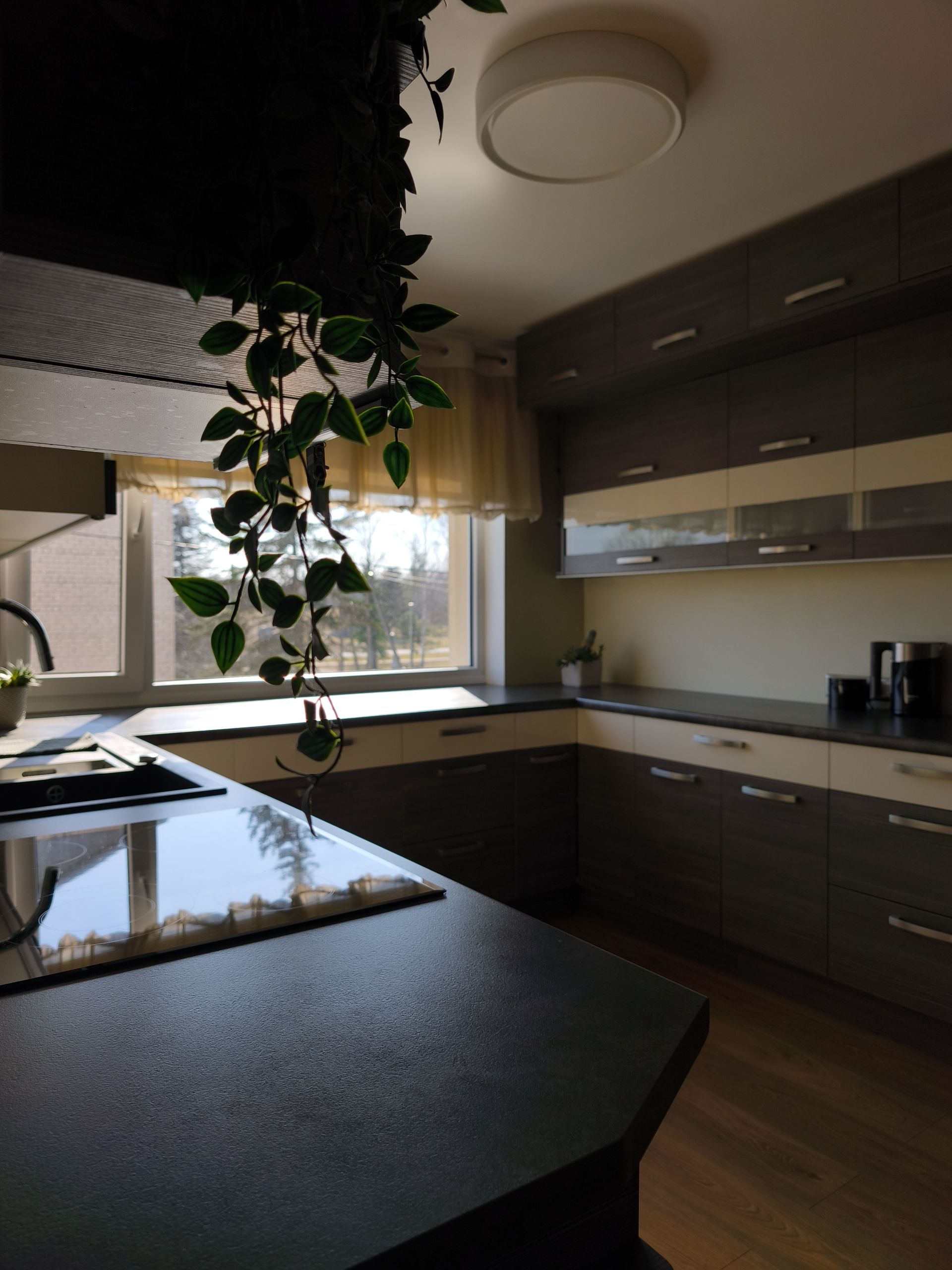 Võru maakond, Setomaa vald, Meremäe küla Kaasiku tn 6