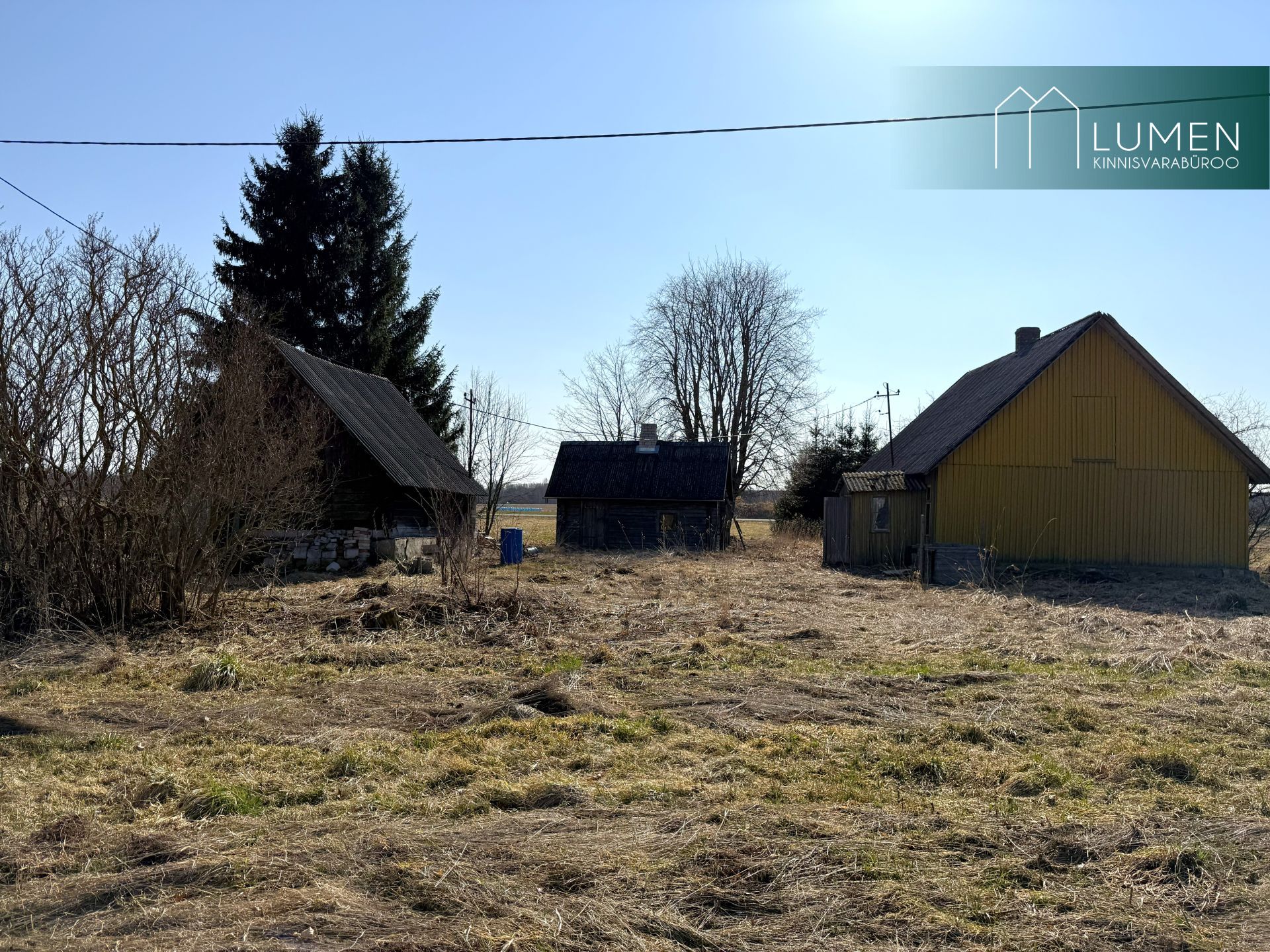 Põlva maakond, Räpina vald, Meeksi küla Vahtrapuu