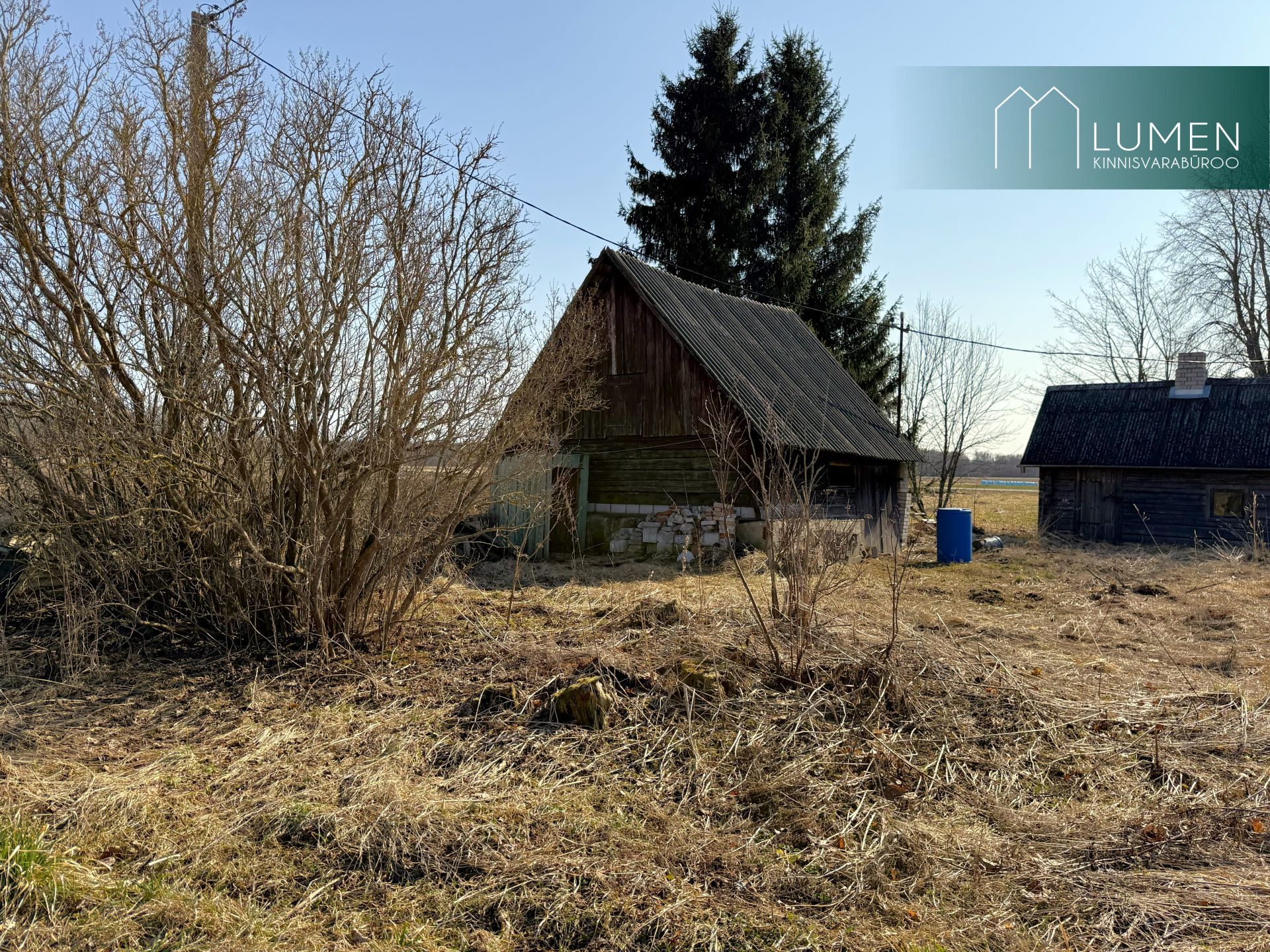 Põlva maakond, Räpina vald, Meeksi küla Vahtrapuu