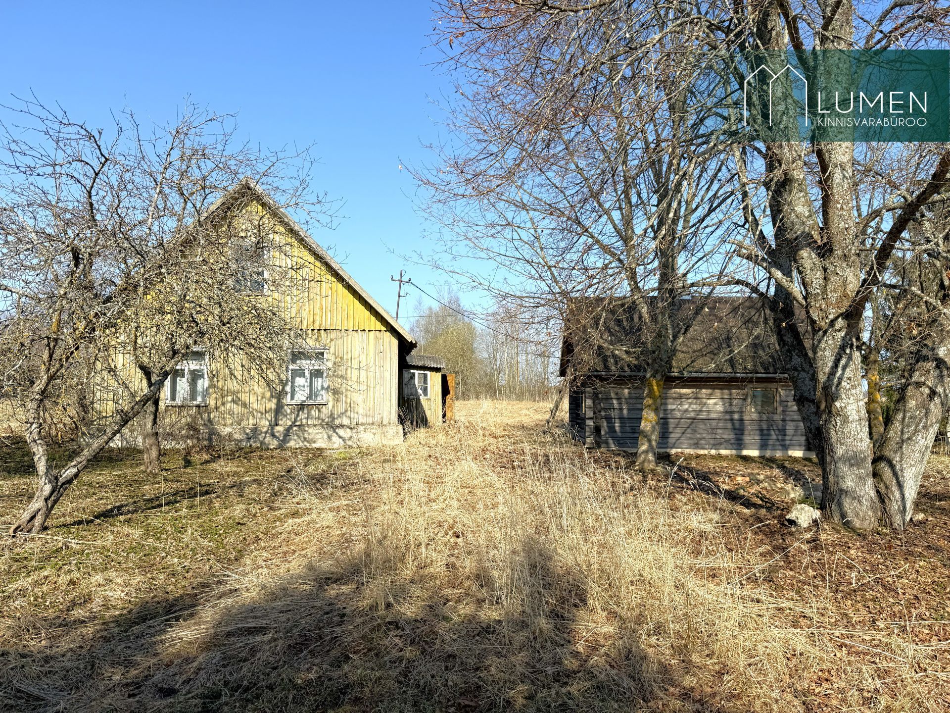 Põlva maakond, Räpina vald, Meeksi küla Vahtrapuu