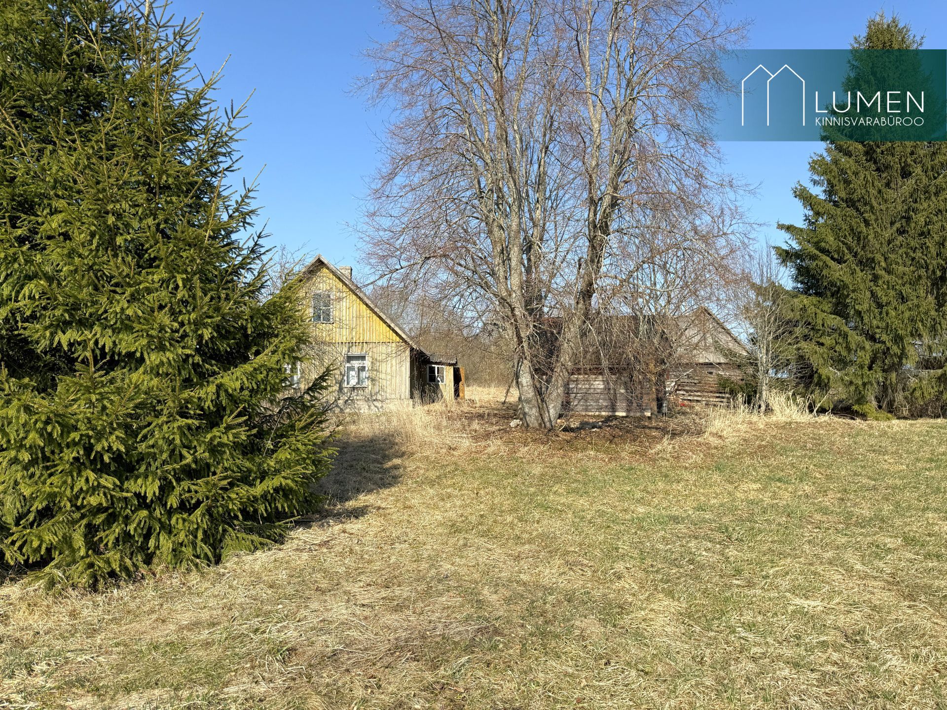 Põlva maakond, Räpina vald, Meeksi küla Vahtrapuu