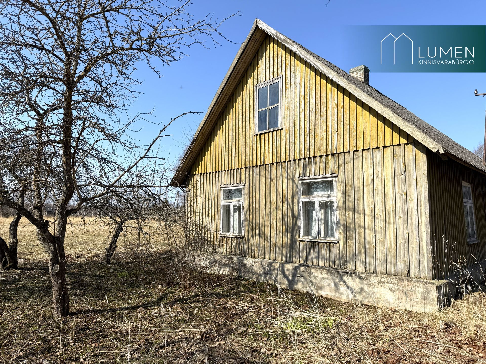 Põlva maakond, Räpina vald, Meeksi küla Vahtrapuu