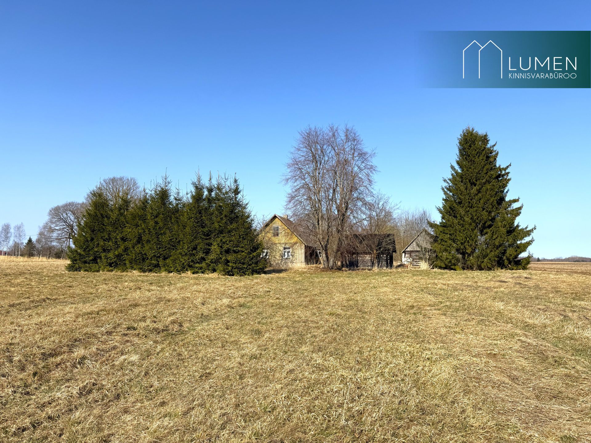 Põlva maakond, Räpina vald, Meeksi küla Vahtrapuu