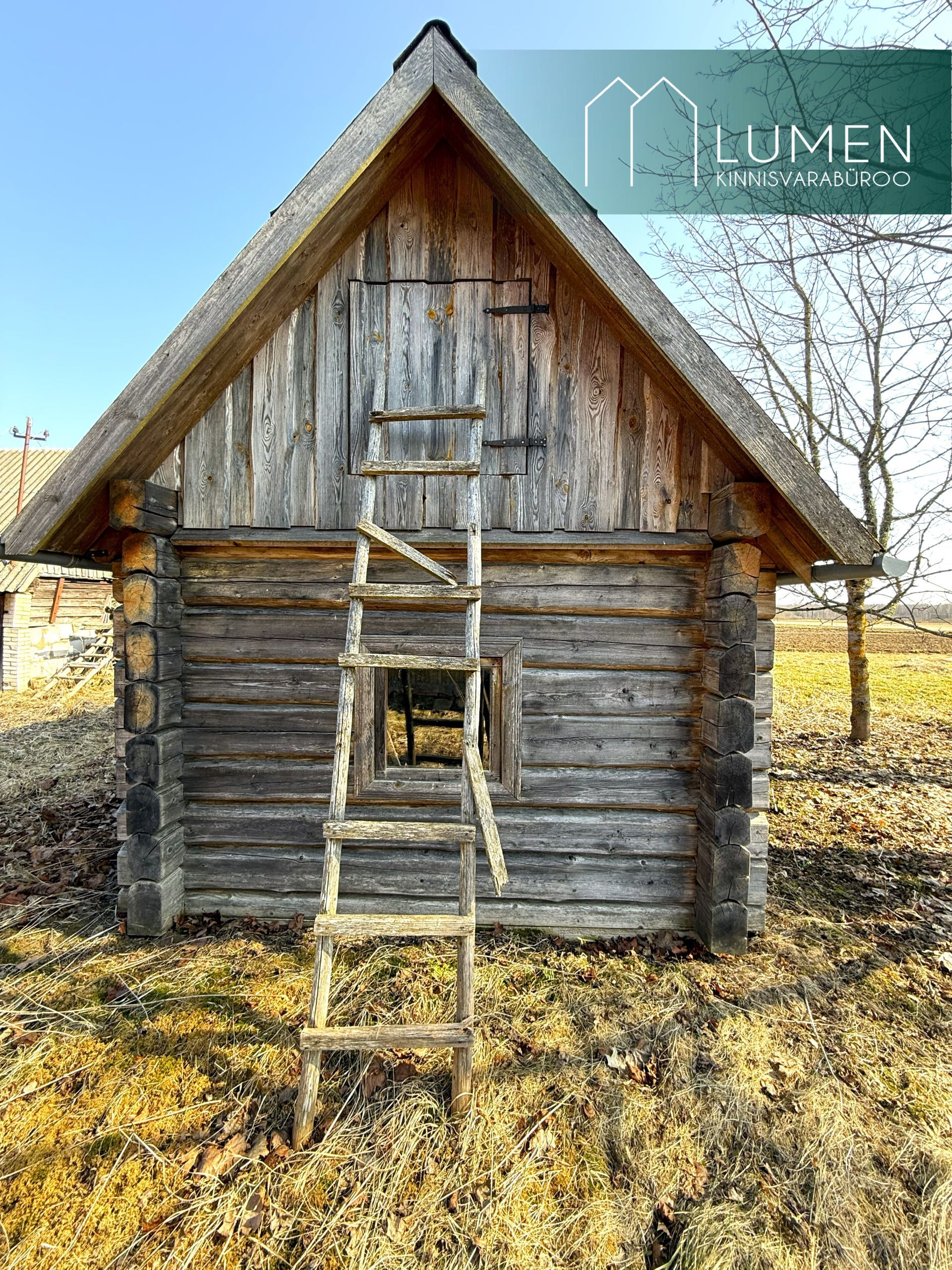 Põlva maakond, Räpina vald, Meeksi küla Vahtrapuu