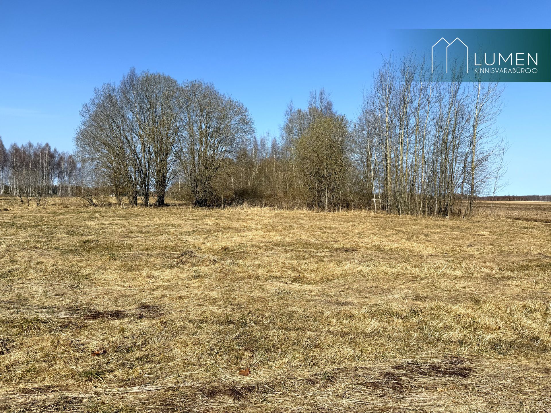 Põlva maakond, Räpina vald, Meeksi küla Vahtrapuu